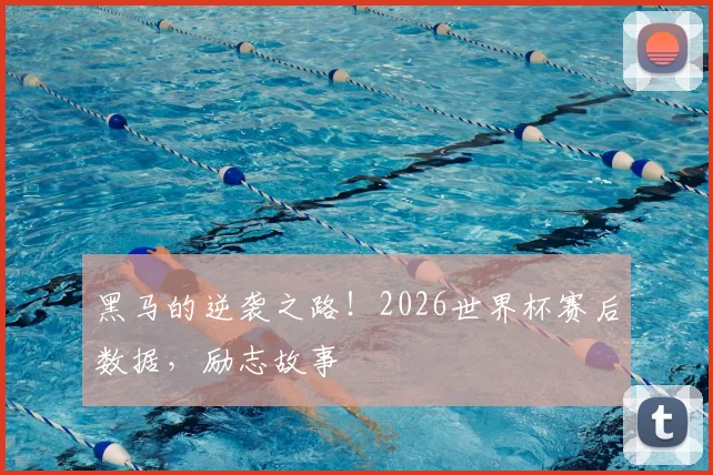 黑马的逆袭之路!2026世界杯赛后数据,励志故事